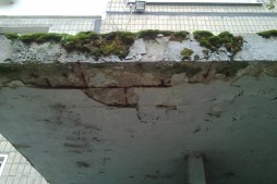 Восстановление парадных. Пр. Слобожанский, 21